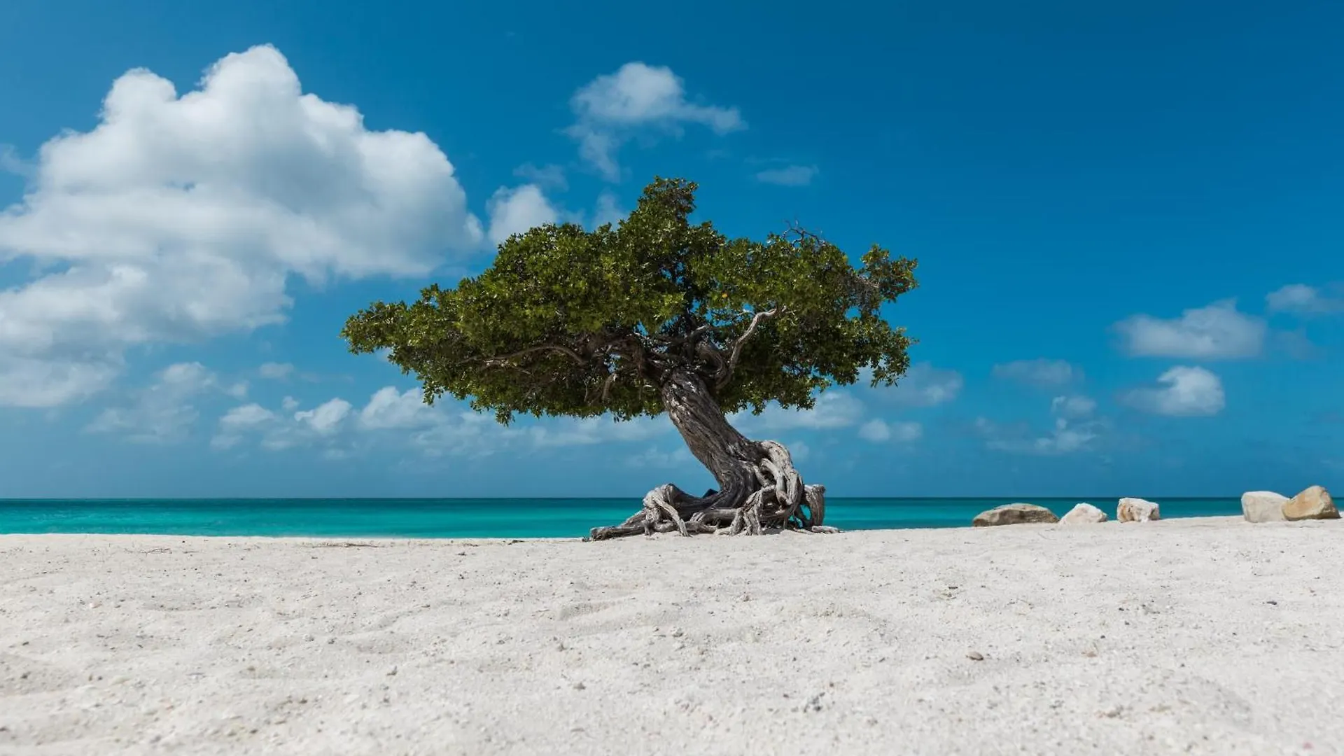Arubas Life 408 Daire Noord